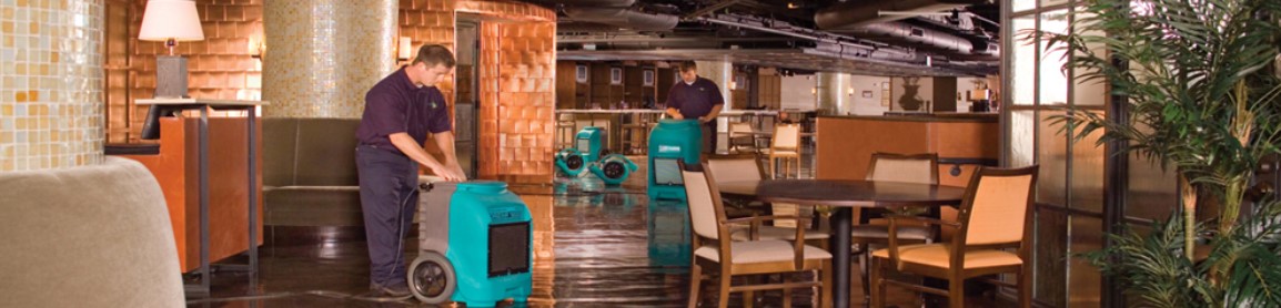 water flood causing mold